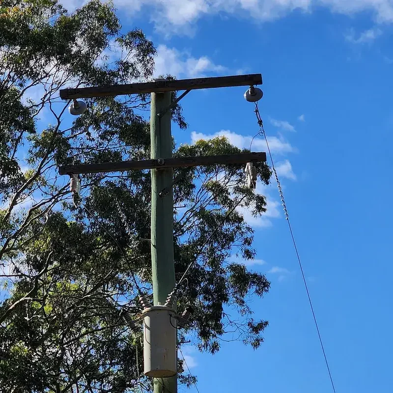 Timber private power pole with cross-arms and overhead service line beside gum trees